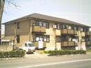 外観写真 グリ－ンパ－クニレの木