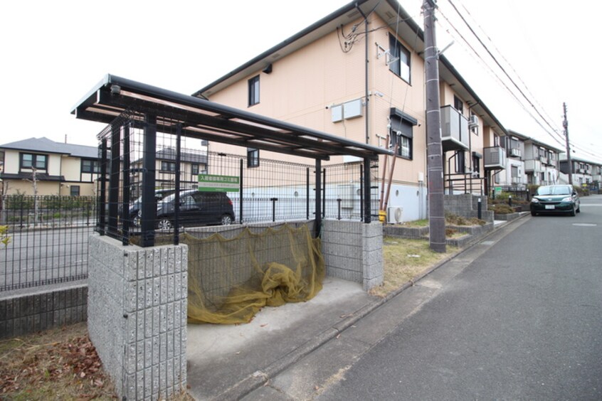 周辺環境 グリ－ンパ－クニレの木