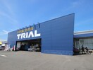 トライアル(スーパー)まで744m アポロハイツⅠ