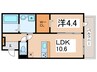adonis　court　加美NEXT 1LDKの間取り