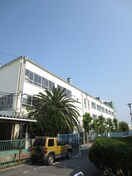 古川橋小学校(小学校)まで247m カトレヤマンション