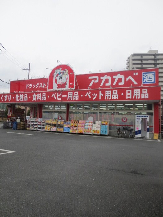 アカカベ　藤田町店(ドラッグストア)まで188m カトレヤマンション