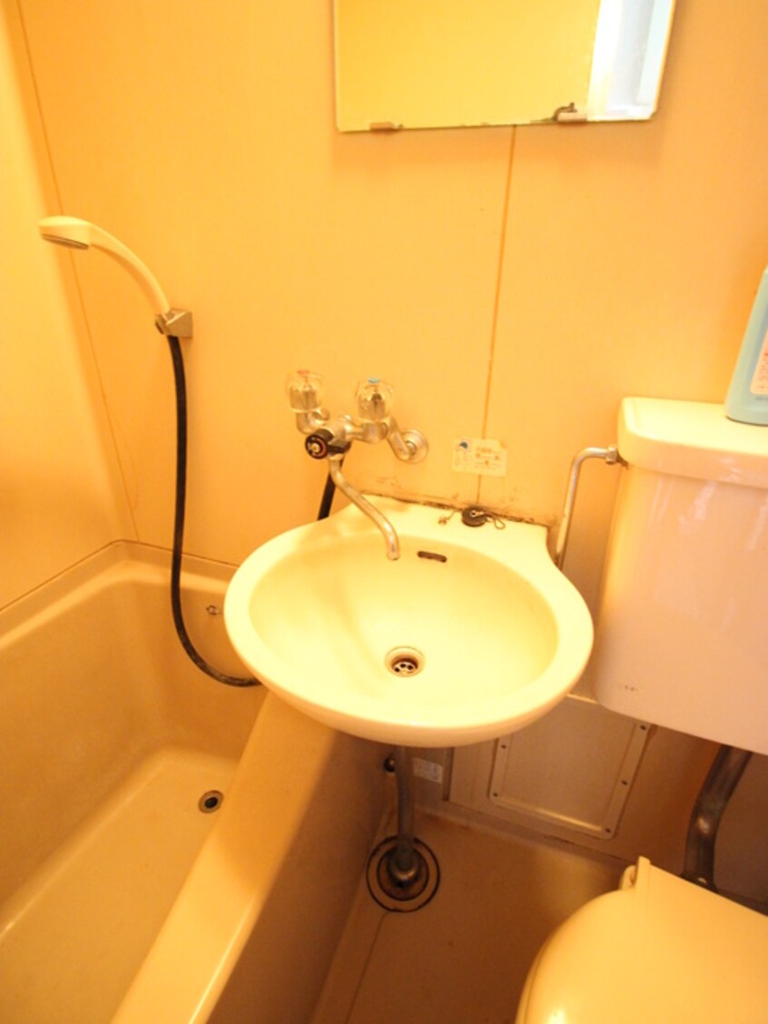 洗面 セントラルハイツ