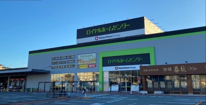 ロイヤルホームセンター(電気量販店/ホームセンター)まで650m 阪本貸家