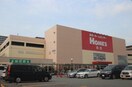 島忠ホームズ(電気量販店/ホームセンター)まで800m マロニエハイツ
