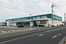 エバーグリーン(ドラッグストア)まで1900m 自然田戸建