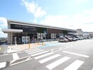 イオンフードスタイル(スーパー)まで450m グランシャリオ