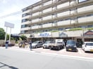 サンディ(スーパー)まで510m ＮＵビル