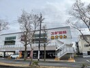 スギ薬局 北白川店(ドラッグストア)まで220m THE　ROSE　RES　一乗寺