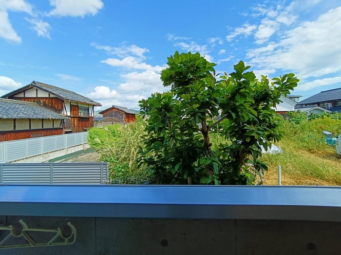 室内からの展望 マグノリアコ－ト