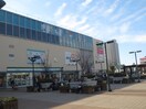 アマゴッタ(ショッピングセンター/アウトレットモール)まで1100m CRASTINE中在家Ａ
