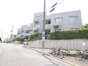 ライブタウン仁川(303)