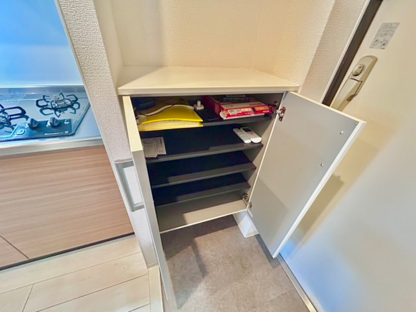 靴箱 LIVIAZ NAMBA RENOM