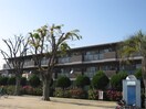 外観写真 ジェンティール・トータス