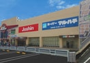 スーパーマルハチ　高井田店(スーパー)まで570m 日伸ビル