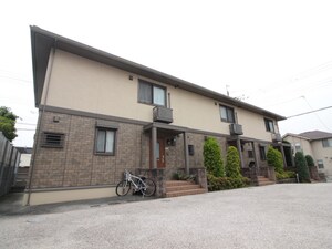 四番町秋桜