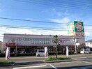 周辺環境 イ－ストフラワ－壱番館