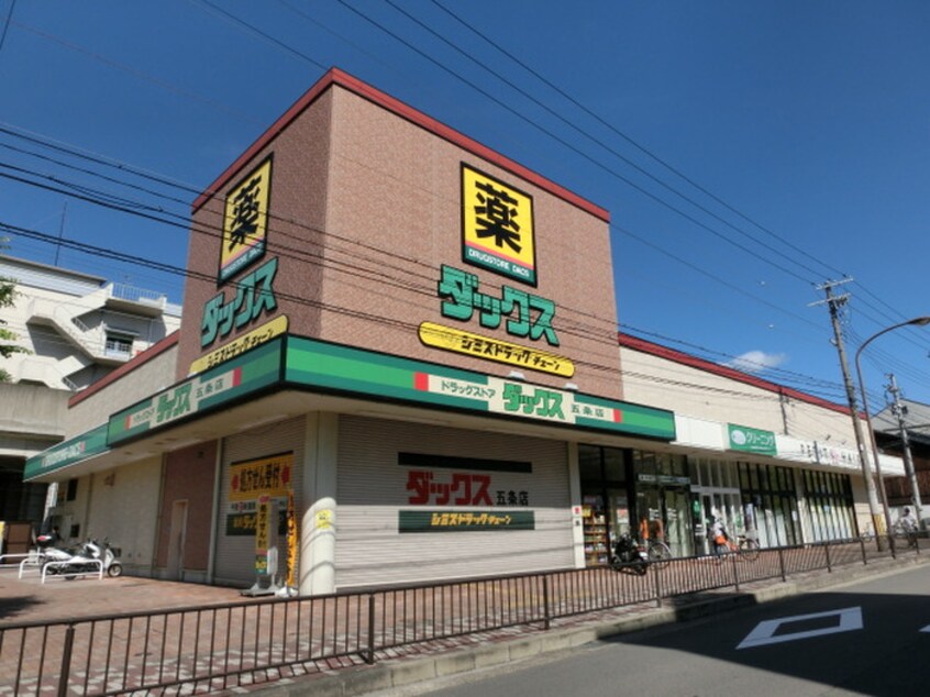 ダックス(ドラッグストア)まで950m アルビ－コ－ト