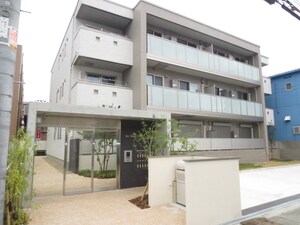 ｼｬ-ﾒｿﾞﾝｻｳｽｹﾞ-ﾄ野江