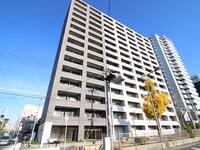 ｾﾚｯｿｺｰﾄﾘﾊﾞｰｻｲﾄﾞOSAKA(502)