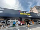 コーナンプロ(電気量販店/ホームセンター)まで192m Ｃｈａｎｐｕｌ　ｂｏｘ