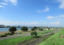 淀川河川公園(公園)まで300m F asecia Licht