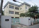 鳥羽小学校(小学校)まで231m 三陽マンションＮＯ５