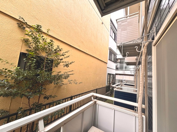 室内からの展望 ビブレⅠ