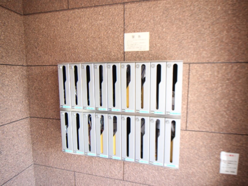 外観写真 ステラハウス９