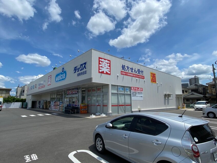 ダックス(ドラッグストア)まで445m リゴレット