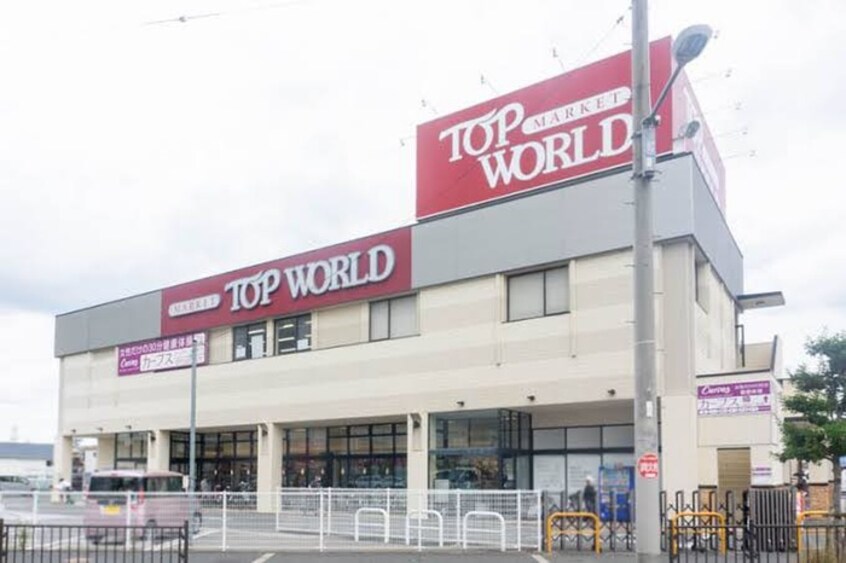 トップワールド　枚方店(スーパー)まで600m 枚方市甲斐田新町戸建