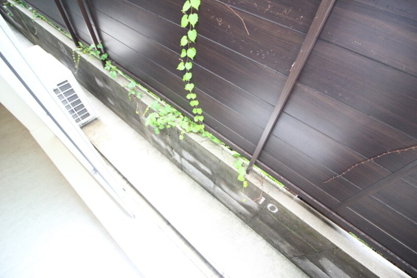 ベランダ・バルコニー ＯＨＧＩソラノマ