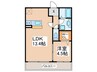 ロベリア宮町 1LDKの間取り