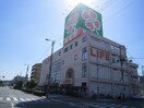 ライフ(スーパー)まで800m ロベリア宮町