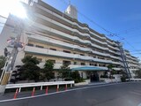 ディオ・フェルティ石切（311）