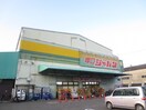 ジャパン塚口店(ディスカウントショップ)まで670m アミリティマンション