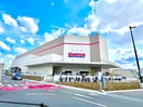 コストコホールセール 門真倉庫店(ショッピングセンター/アウトレットモール)まで950m マンションはまゆう