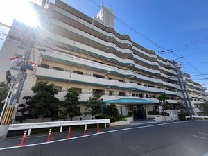 ディオ・フェルティ石切（711）