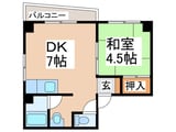 フォンテーヌ№５