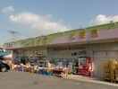 シグマ(ドラッグストア)まで279m プロスペリテ