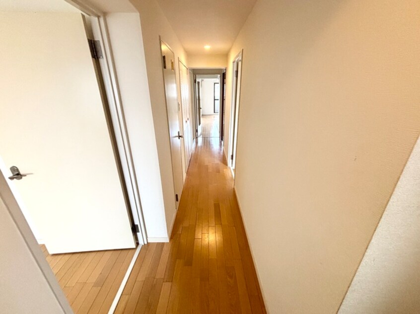 廊下 ロイヤル芦屋松浜（５３９）