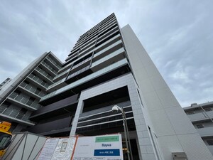 ﾌﾟﾚｻﾝｽ ﾊｰﾊﾞｰﾗﾝﾄﾞ ｱﾝﾄﾞ･ｼｰ(511)