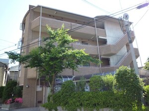 アイビ－ズコ－ト