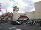 イズミヤ宮之阪店(スーパー)まで289m 宮之阪ハイツ参番館