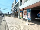 外観写真 ﾊｲﾂＦＩＧＴＲＥＥ