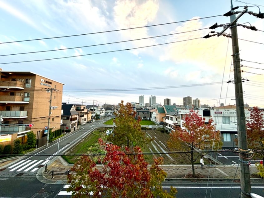 室内からの展望 ﾊｲﾂＦＩＧＴＲＥＥ