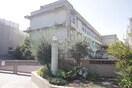 高木小学校(小学校)まで373m ﾊｲﾂＦＩＧＴＲＥＥ