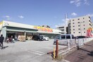 ジャパン(ドラッグストア)まで1000m ﾊｲﾂＦＩＧＴＲＥＥ
