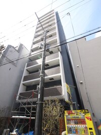 GRACE NORTH NISHITEMMA(1004)