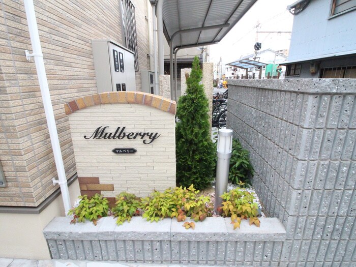 エントランス部分 マルベリー